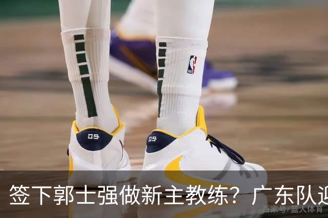 签下郭士强做新主教练？广东队迎来换帅机会，杜锋有望执教国家队